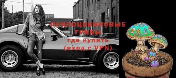 индика Белоозёрский